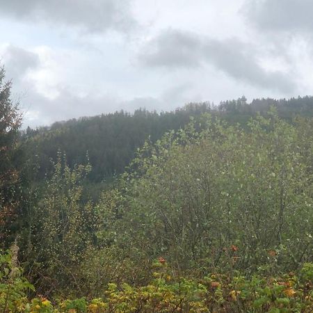 Fewo Berg Idyllika Willingen  Εξωτερικό φωτογραφία