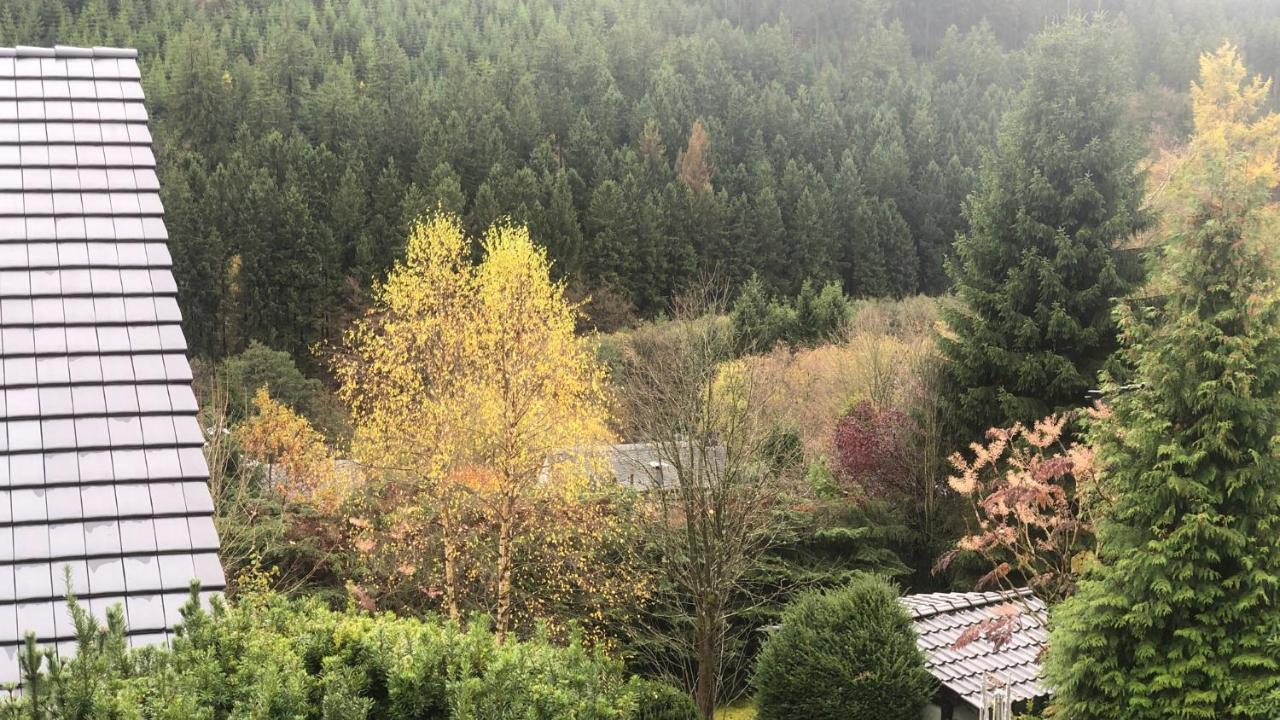 Fewo Berg Idyllika Willingen  Εξωτερικό φωτογραφία