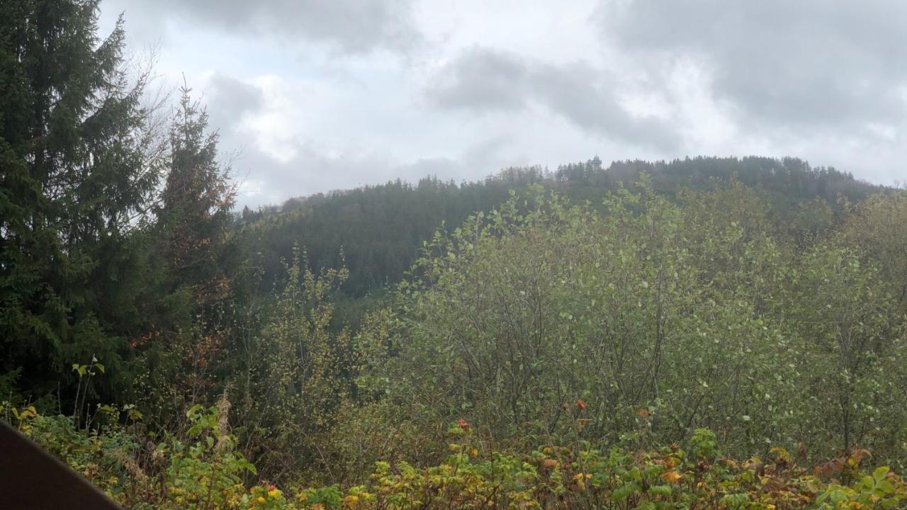 Fewo Berg Idyllika Willingen  Εξωτερικό φωτογραφία