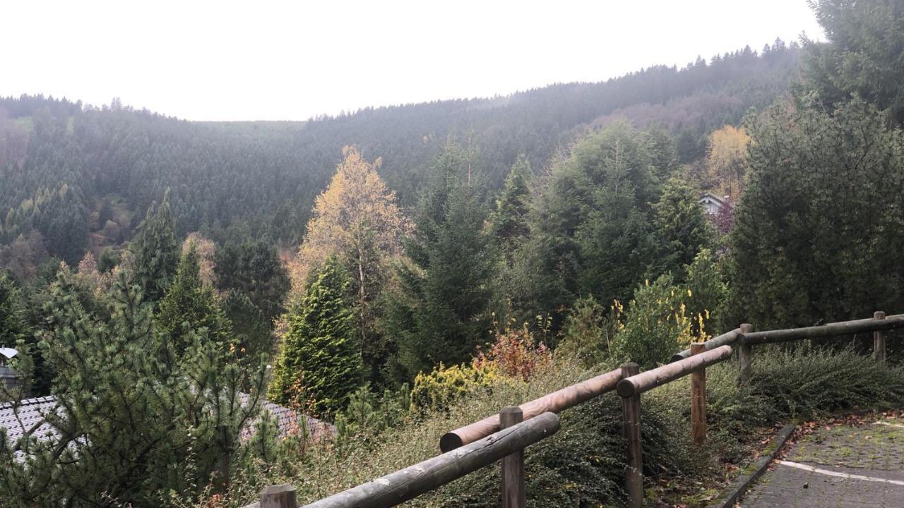 Fewo Berg Idyllika Willingen  Εξωτερικό φωτογραφία