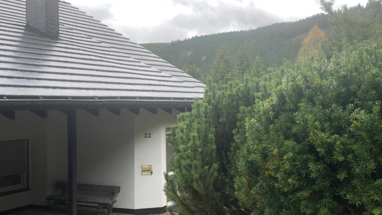 Fewo Berg Idyllika Willingen  Εξωτερικό φωτογραφία
